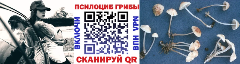 Галлюциногенные грибы GOLDEN TEACHER  Катав-Ивановск 